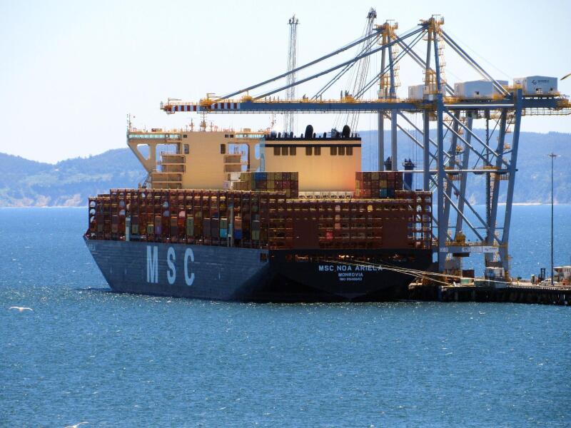 Image of MSC NOA ARIELA