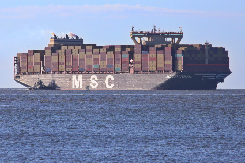 MSC QUITTERIE