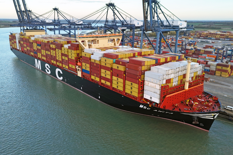 MSC ANITA