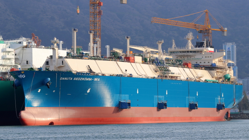 DANUTA SIEDZIKOWNA-I