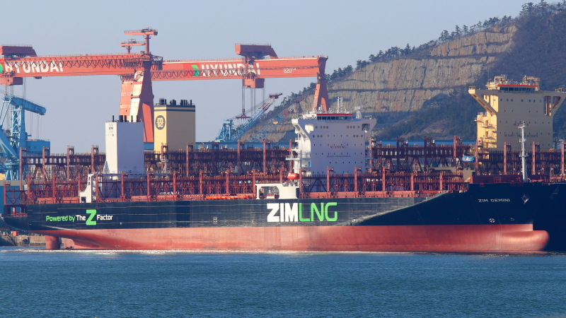 Image of ZIM GEMINI