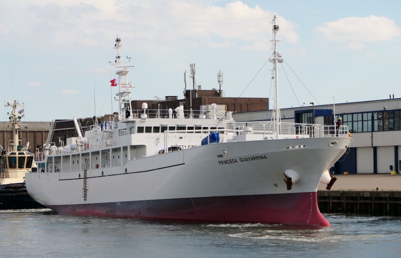PRINCESA GUAYARMINA