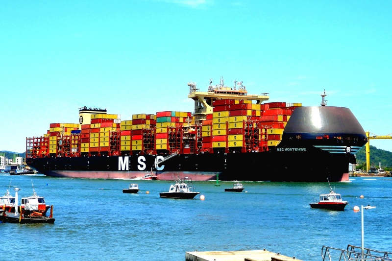 MSC HORTENSE
