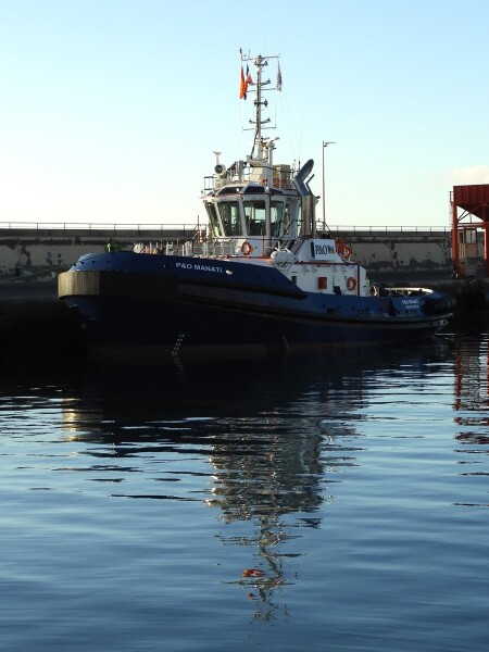 P&O MANATI