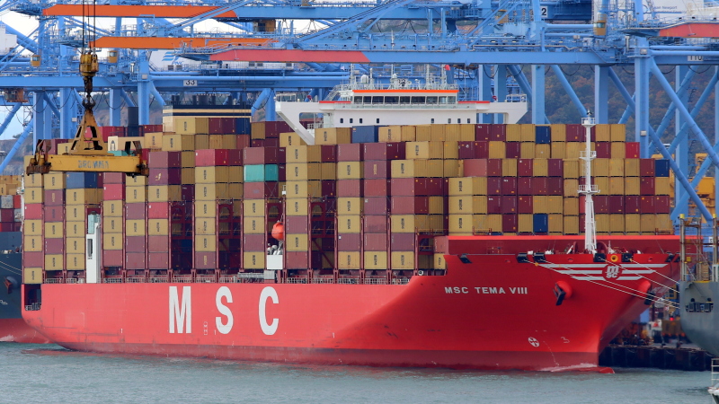 MSC TEMA VIII