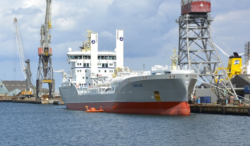 TERN VIK